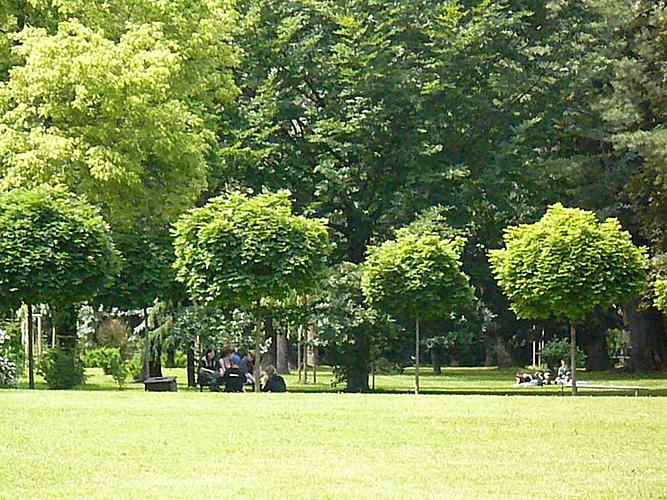 Veřejná zeleň ve městě Český Krumlov