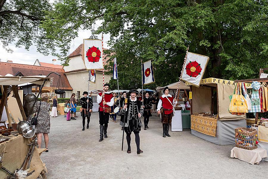 Five-Petalled Rose Celebrations