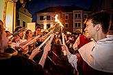 Five-Petalled Rose Celebrations